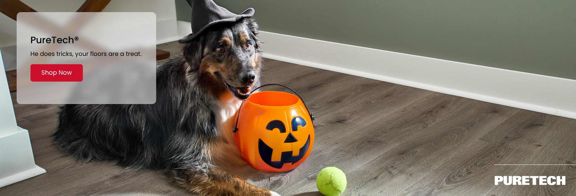 Browse PureTech products